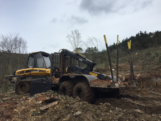 Trabajos forestales con autocargador